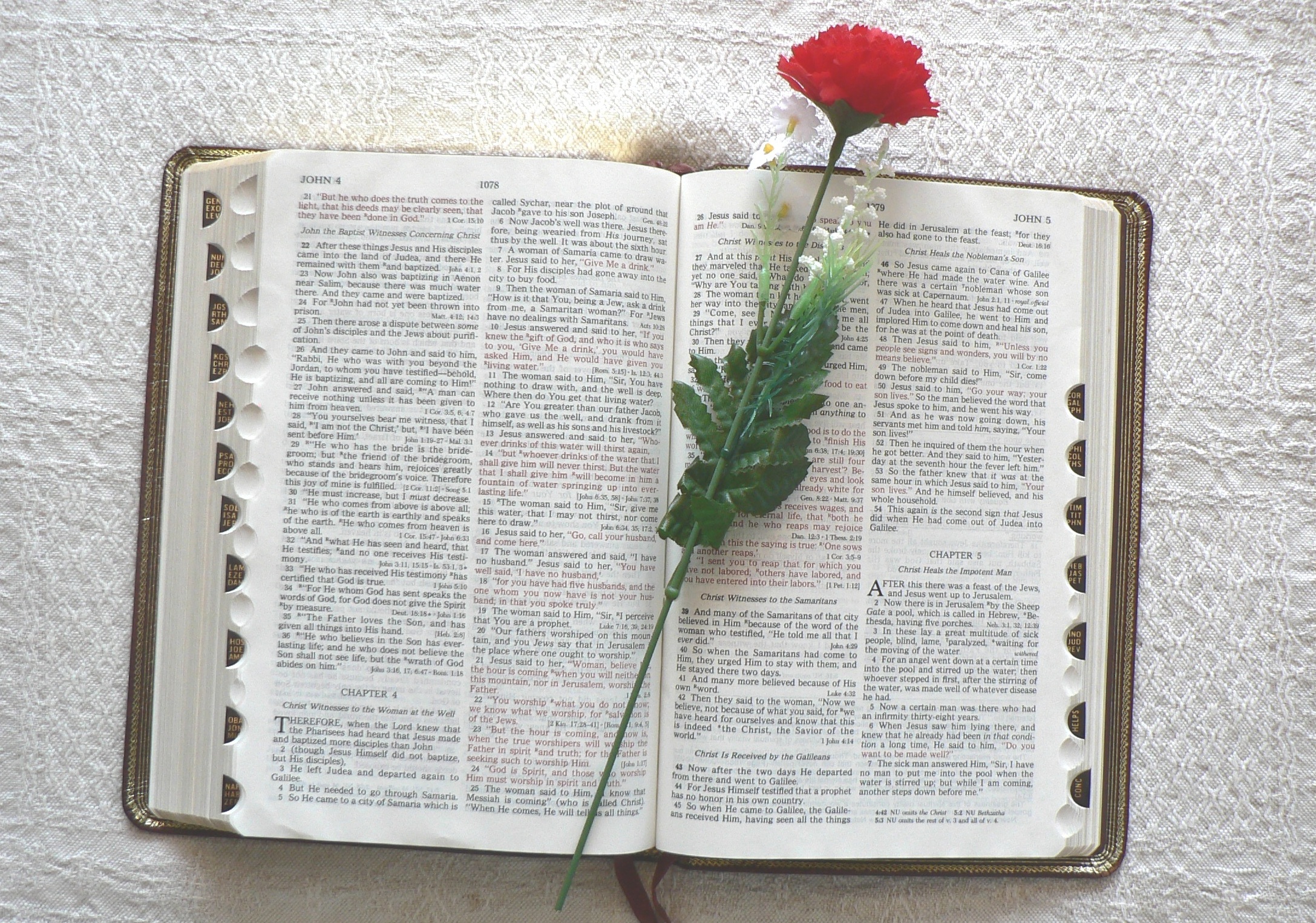 Bible - God's Manual Bible - God's Manual